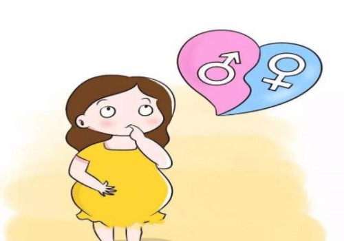 懷孕6個(gè)月的孕肚變化，這些事項(xiàng)孕媽媽要知道