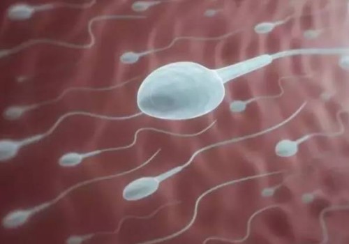 為什么懷孕吃螃蟹會(huì)流產(chǎn)，原因可能是這個(gè)