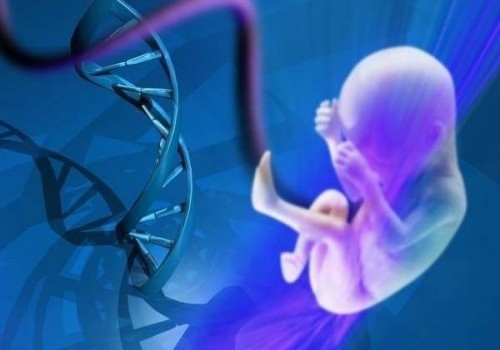 堵奶去醫(yī)院效果好還是找專業(yè)的催乳師好？盲目堵奶對身體并不好