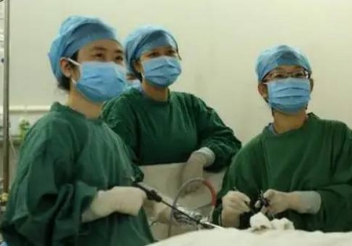 寧波三代試管助孕：孕囊大小與胎芽大小究竟有沒有關(guān)系？這份孕周對(duì)照表告訴你答案