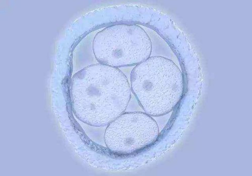 寧波正規(guī)助孕機(jī)構(gòu)：做完造影當(dāng)月可以懷孕嗎？了解造影后的備孕最佳時間