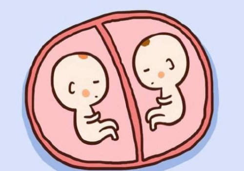 寧波試管嬰兒價(jià)格：最新三胎政策補(bǔ)助，減輕生娃負(fù)擔(dān)