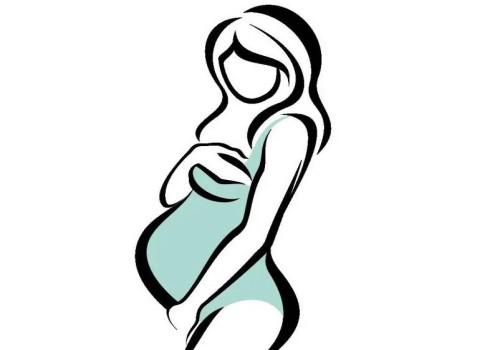 囊胚能分化成兩個(gè)胚胎，但幾率一般不高