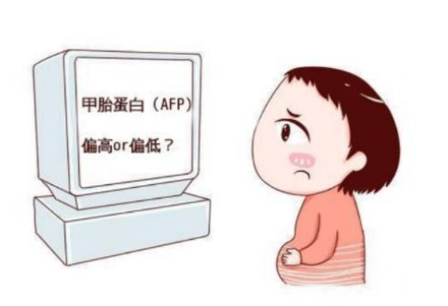 子宮內(nèi)膜c型別做試管，這些情況不適合做囊胚移植