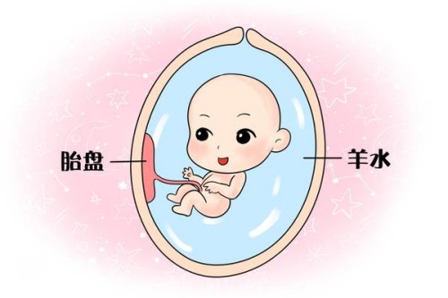 內(nèi)膜薄對女性的生育功能有影響，內(nèi)膜偏低可能會導(dǎo)致不孕