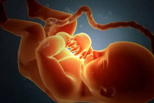 北京大學(xué)人民醫(yī)院供卵試管生男孩費(fèi)用明細(xì)，附供卵試管條件