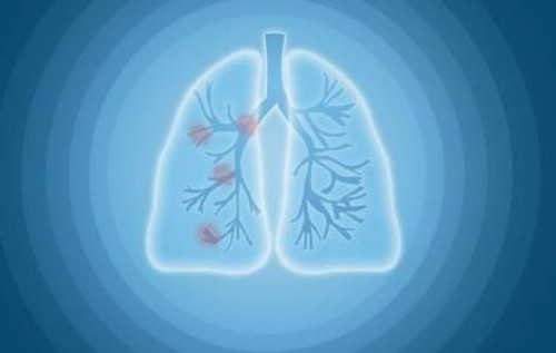 促排讓你避免出現(xiàn)空卵泡的妙招，日常吃什么很關(guān)鍵