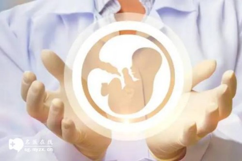 2023隨州中心醫(yī)院試管嬰兒全方位指南，附助孕成功率預(yù)估