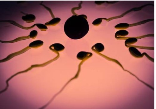 取卵后出現(xiàn)腹水用白蛋白消除效果好，具體需要使用幾天因人而異