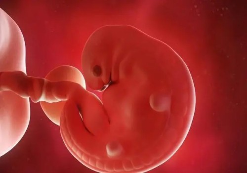 雌激素低對(duì)懷孕有什么影響,從這幾方面開(kāi)始調(diào)理