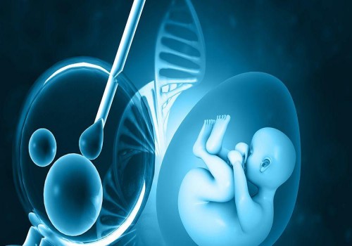 做試管嬰兒生孩子，到底要花多少錢？