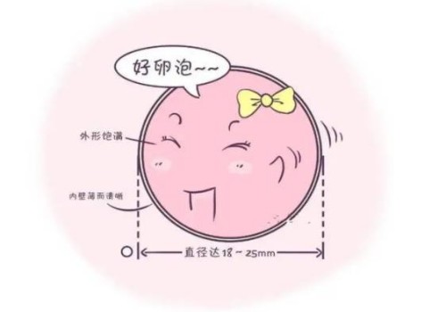 寧波試管助孕公司：2022試管嬰兒生二胎值得嗎，成功率高低還需根據(jù)身體說話