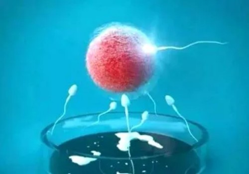 孕囊偏小吃紅薯真有效嗎，醫(yī)生：并無科學(xué)依據(jù)