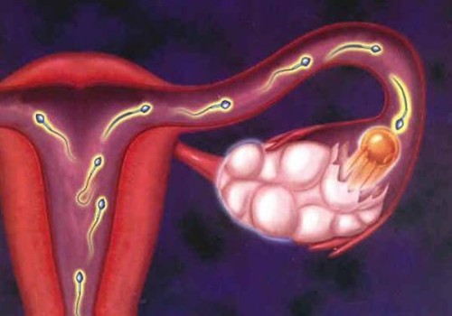 備孕調(diào)理子宮的方法一覽，喝中藥只是其中之一