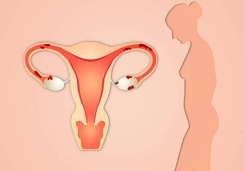 科學(xué)備孕生男生女的方法一覽，附備孕期間的注意事項(xiàng)_1