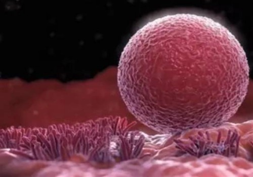 寧波助孕生子：盤點弱精癥的具體表現(xiàn)，附引發(fā)弱精癥的原因及治療措施