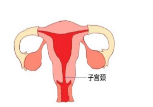 寧波助孕：順產(chǎn)和剖腹產(chǎn)優(yōu)缺點對比，給準媽媽帶來最全面介紹